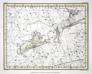 Les Constellations (Planche V) Lynx, Leo Minor, de 
